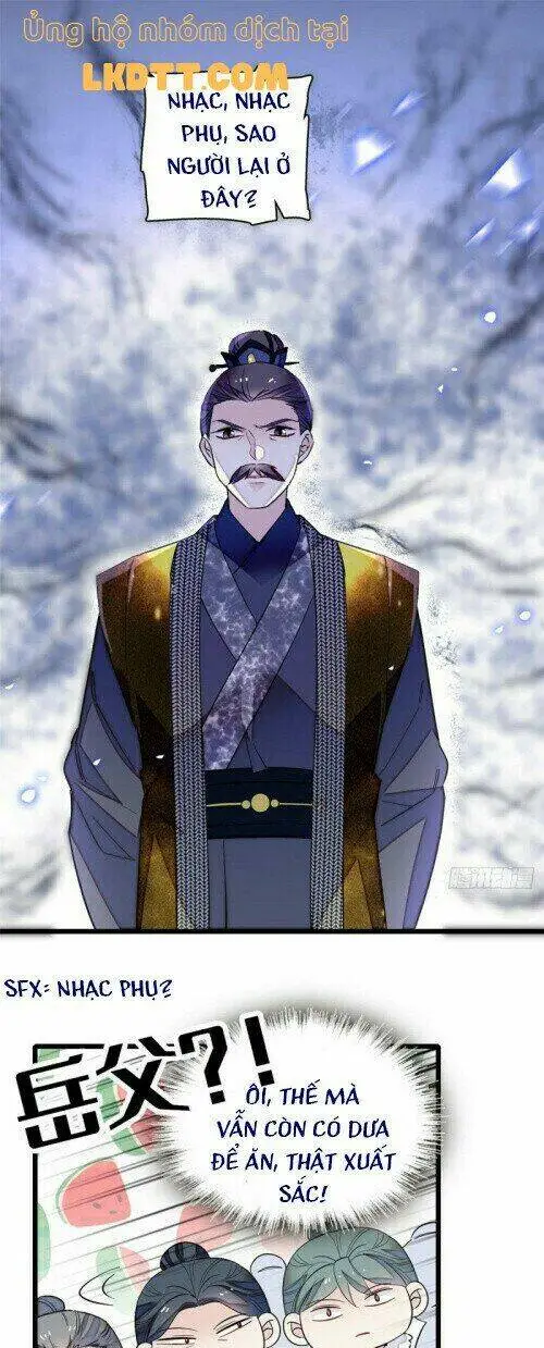 Chapter 117