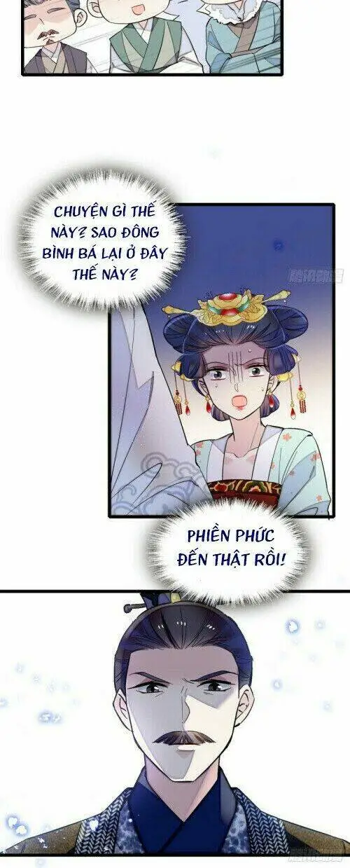 Chapter 117