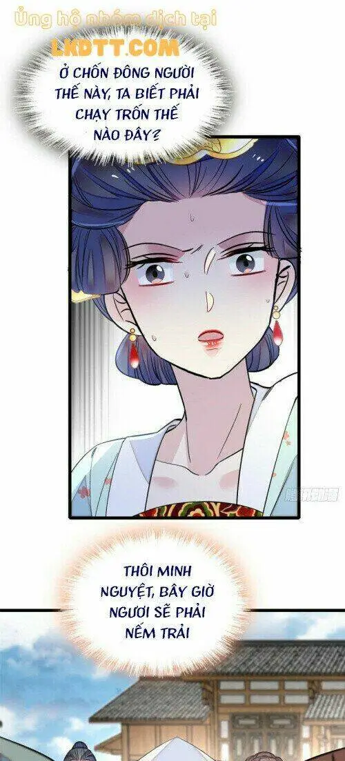 Chapter 117