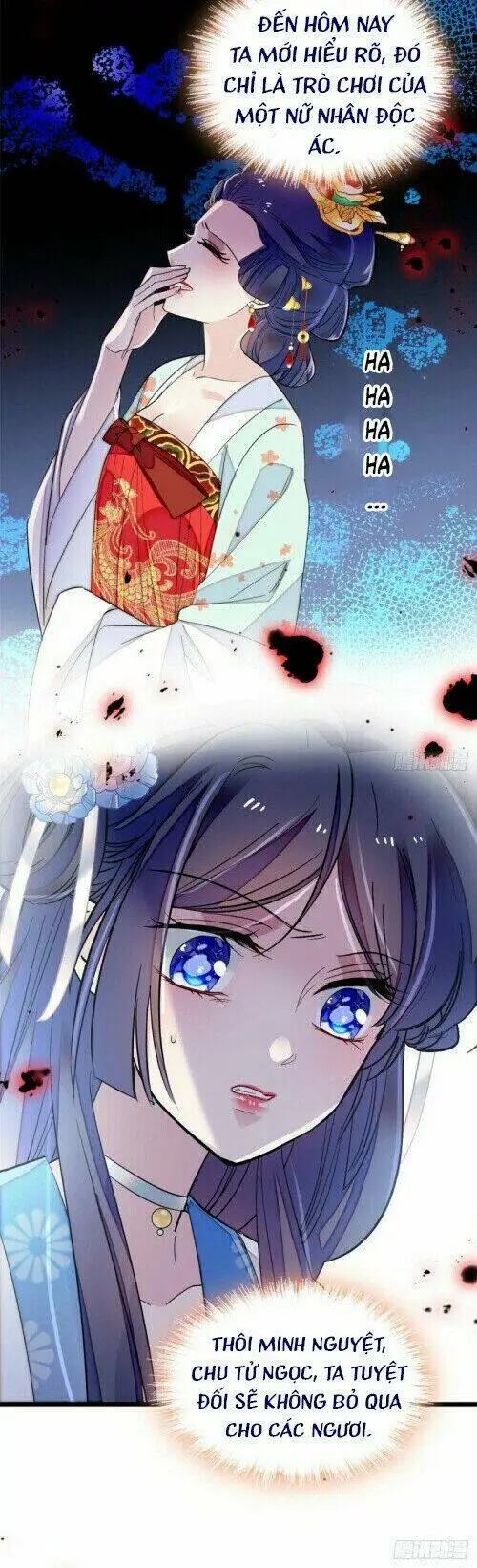 Chapter 117