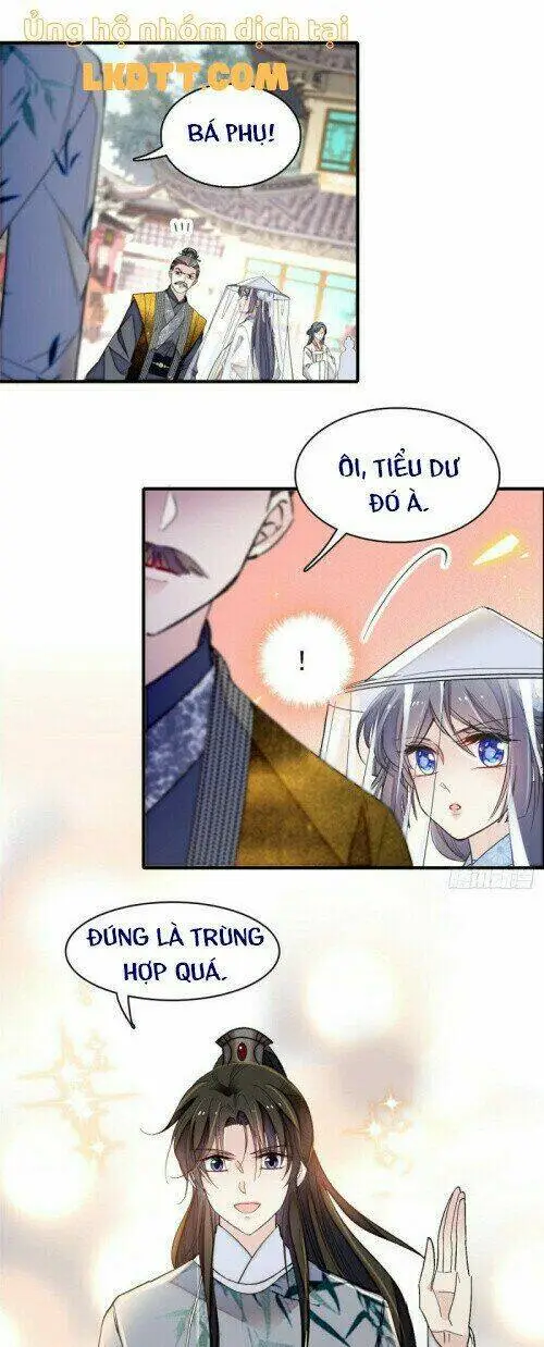 Chapter 117