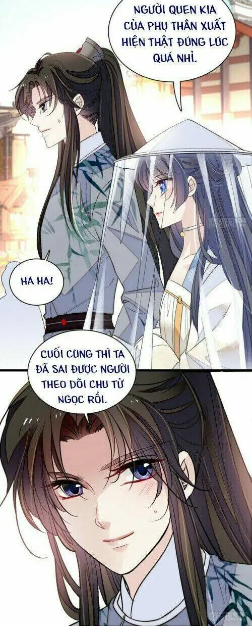 Chapter 117