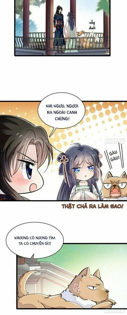 Chapter 104