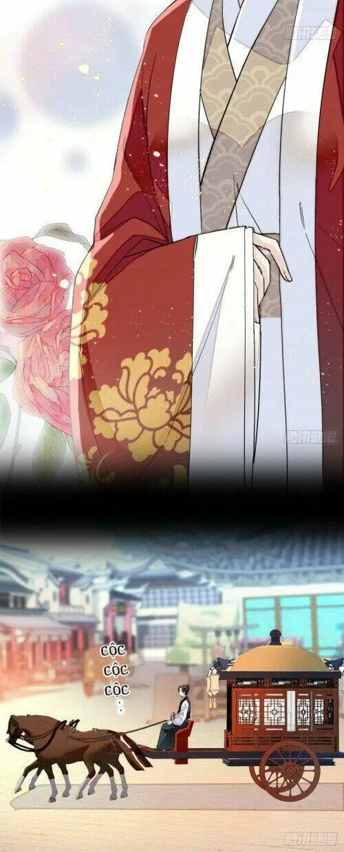 Chapter 104