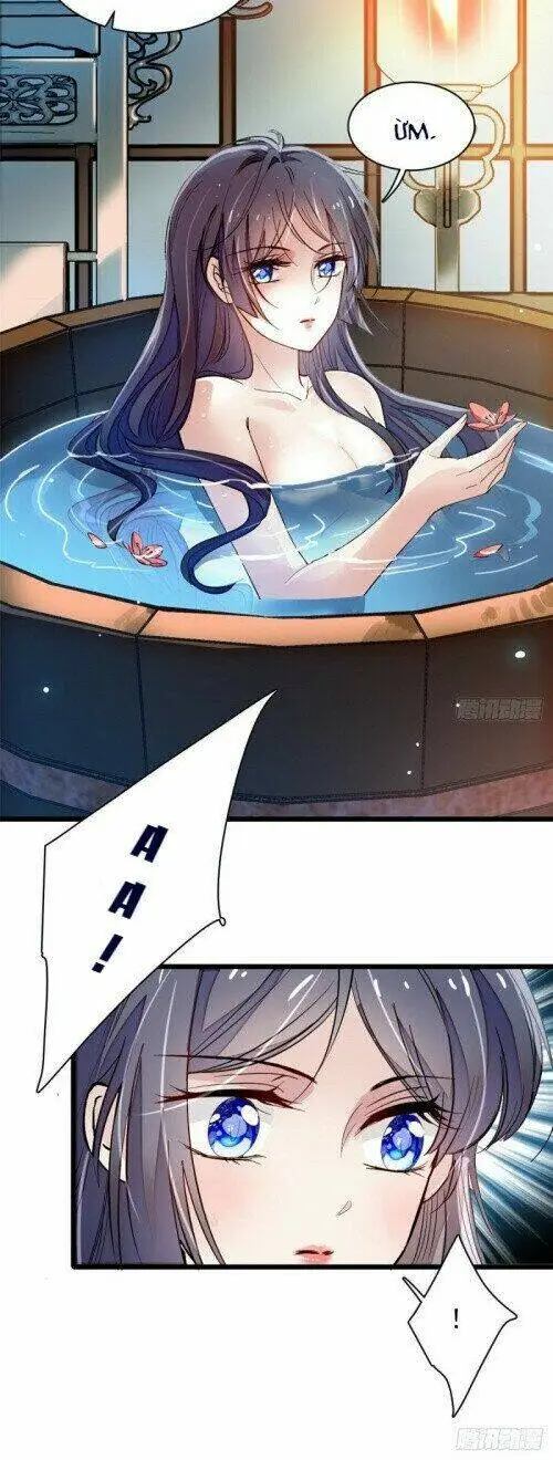 Chapter 104
