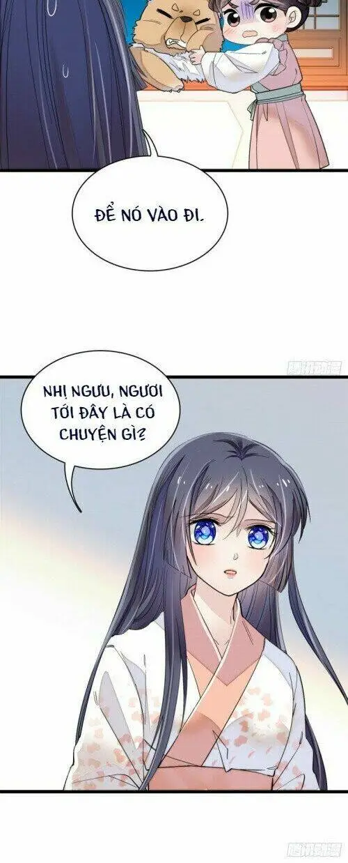 Chapter 104