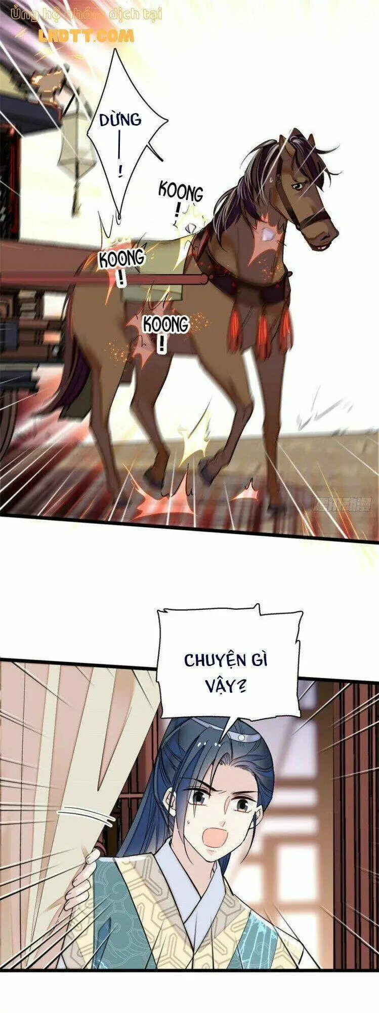 Chapter 96