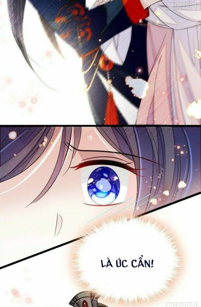 Chapter 96