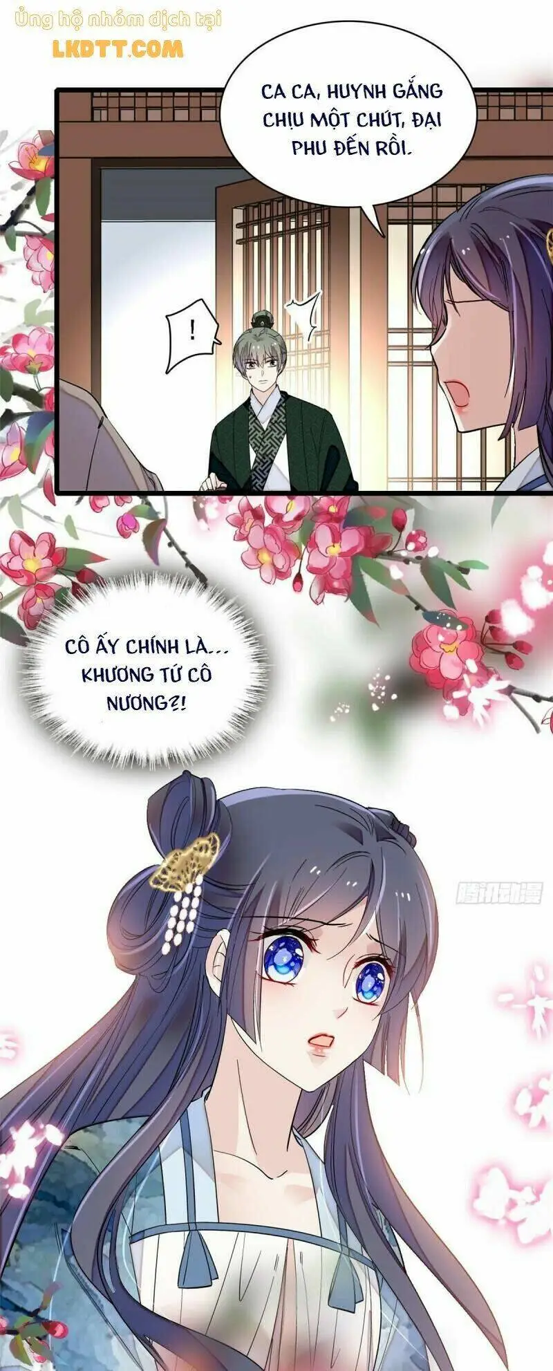 Chapter 96