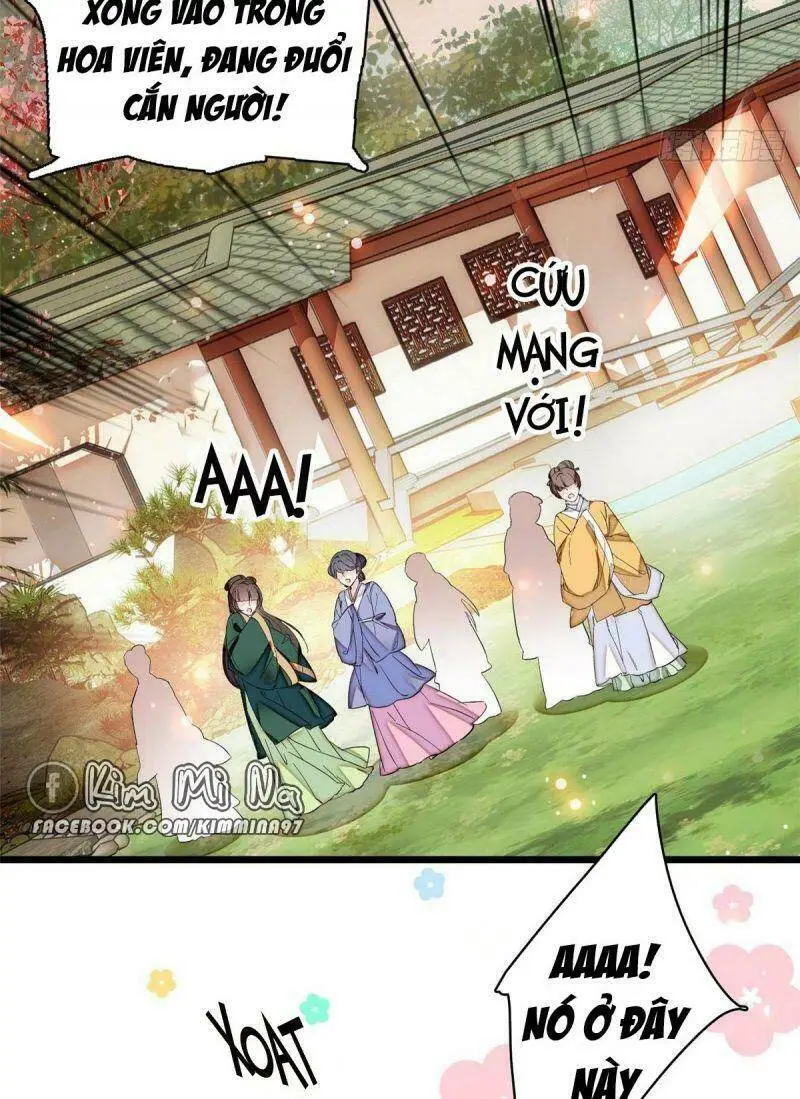 Chapter 74