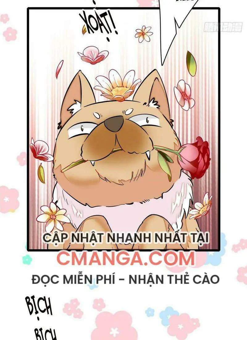 Chapter 74