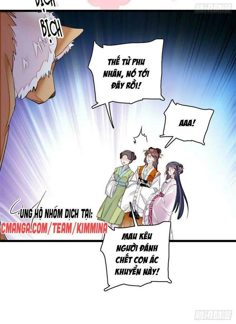 Chapter 74