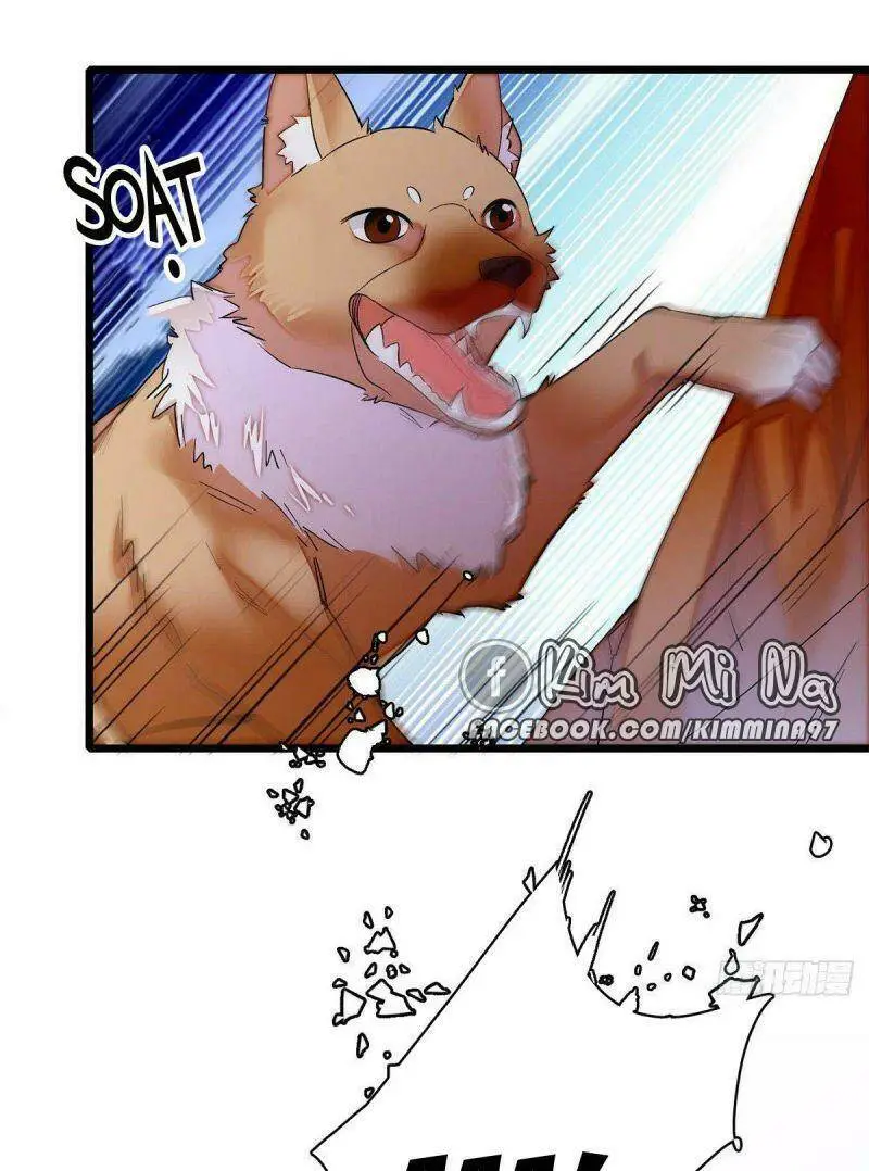 Chapter 74