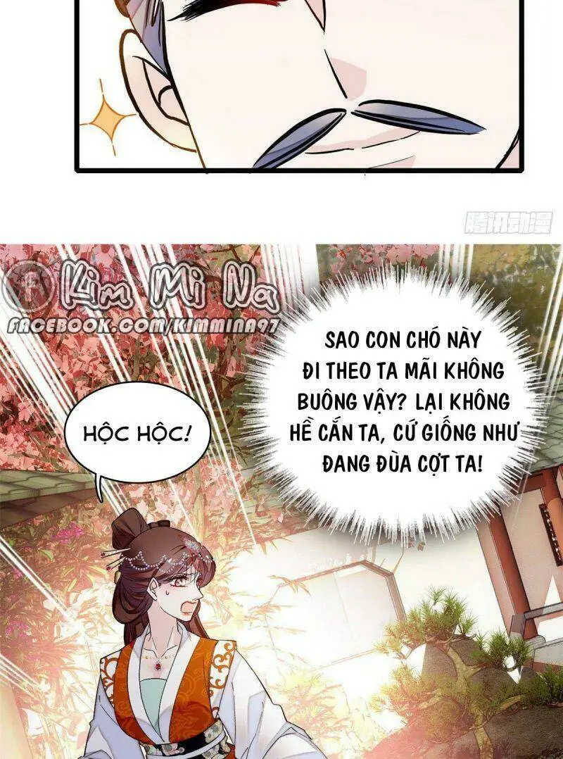Chapter 74