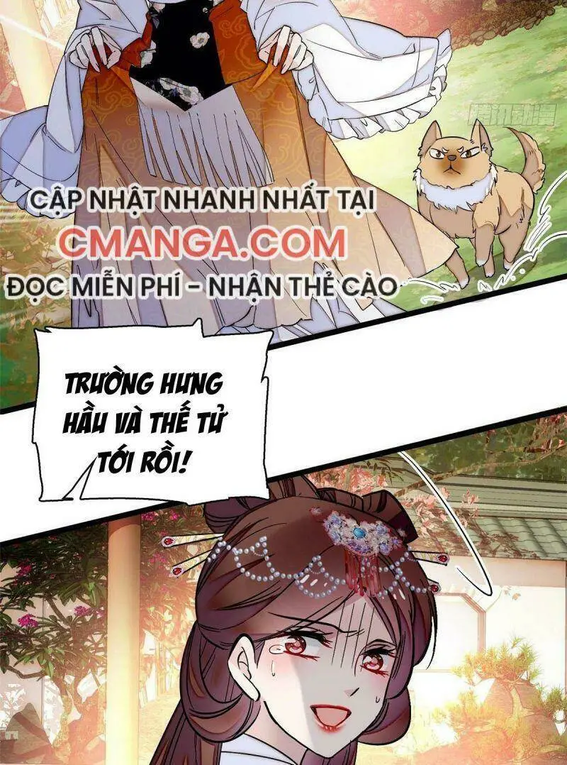 Chapter 74