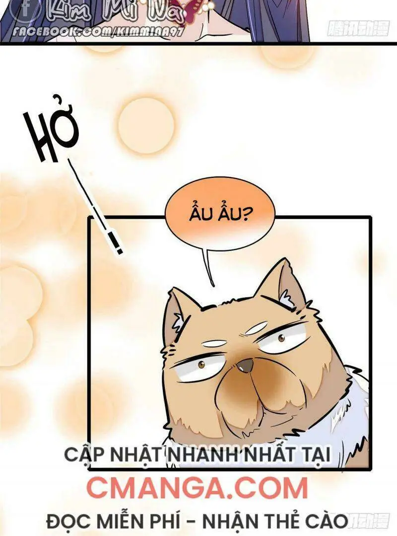 Chapter 74
