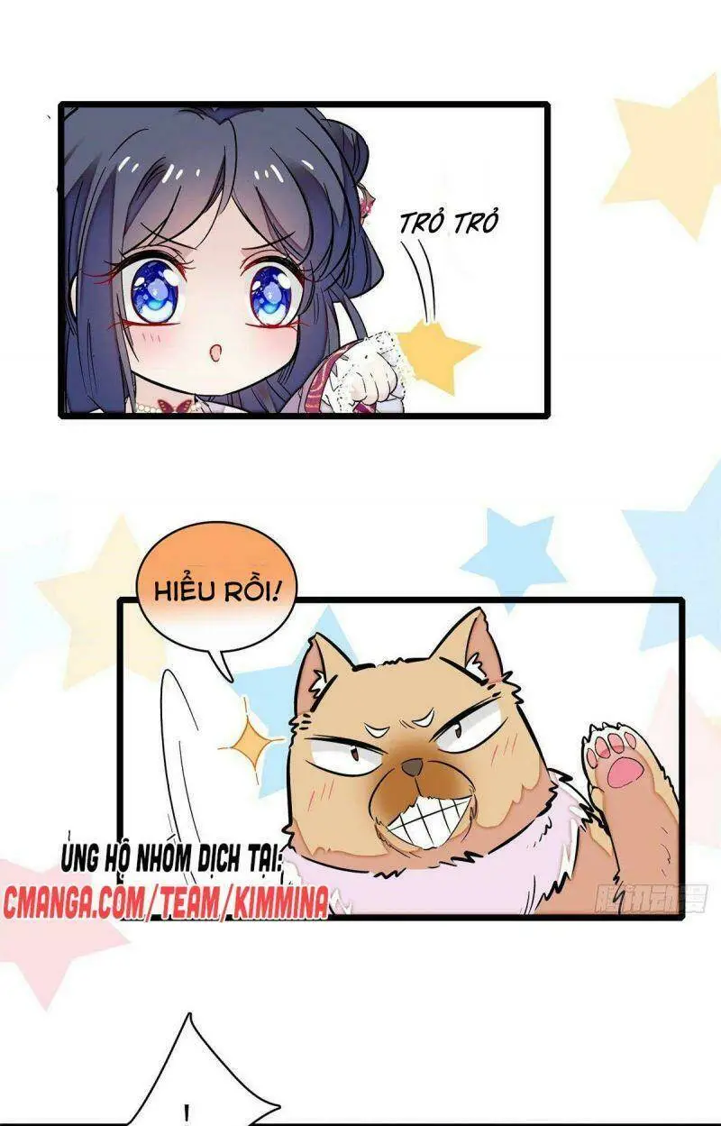 Chapter 74
