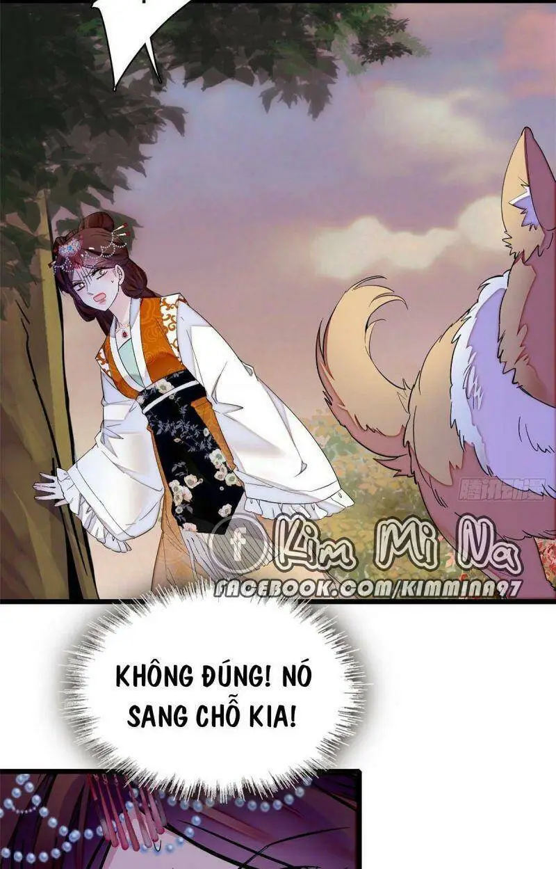 Chapter 74