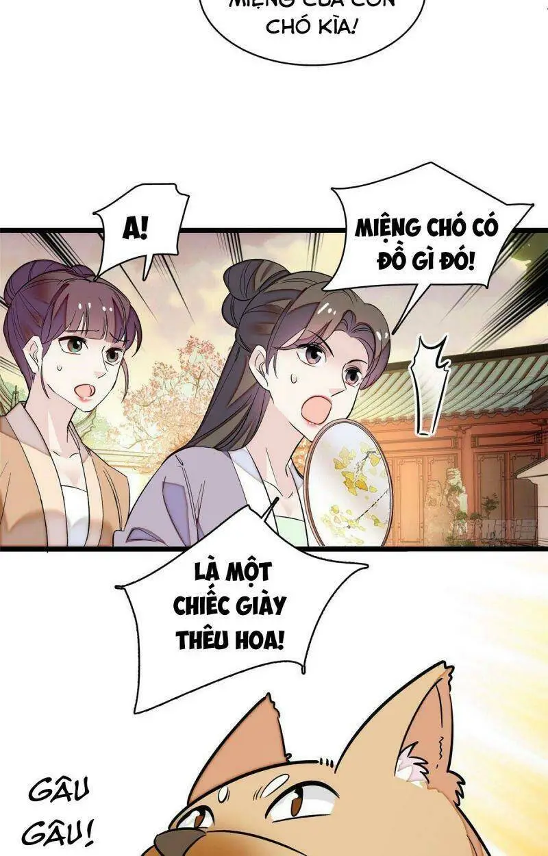 Chapter 74