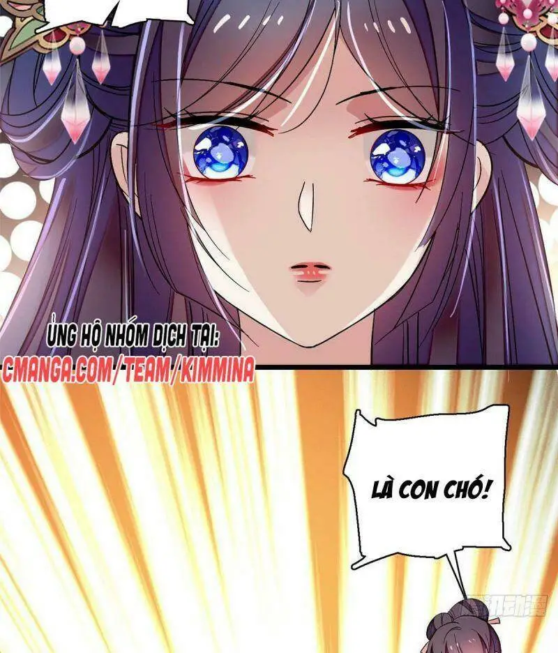 Chapter 73