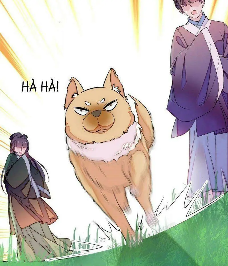 Chapter 73