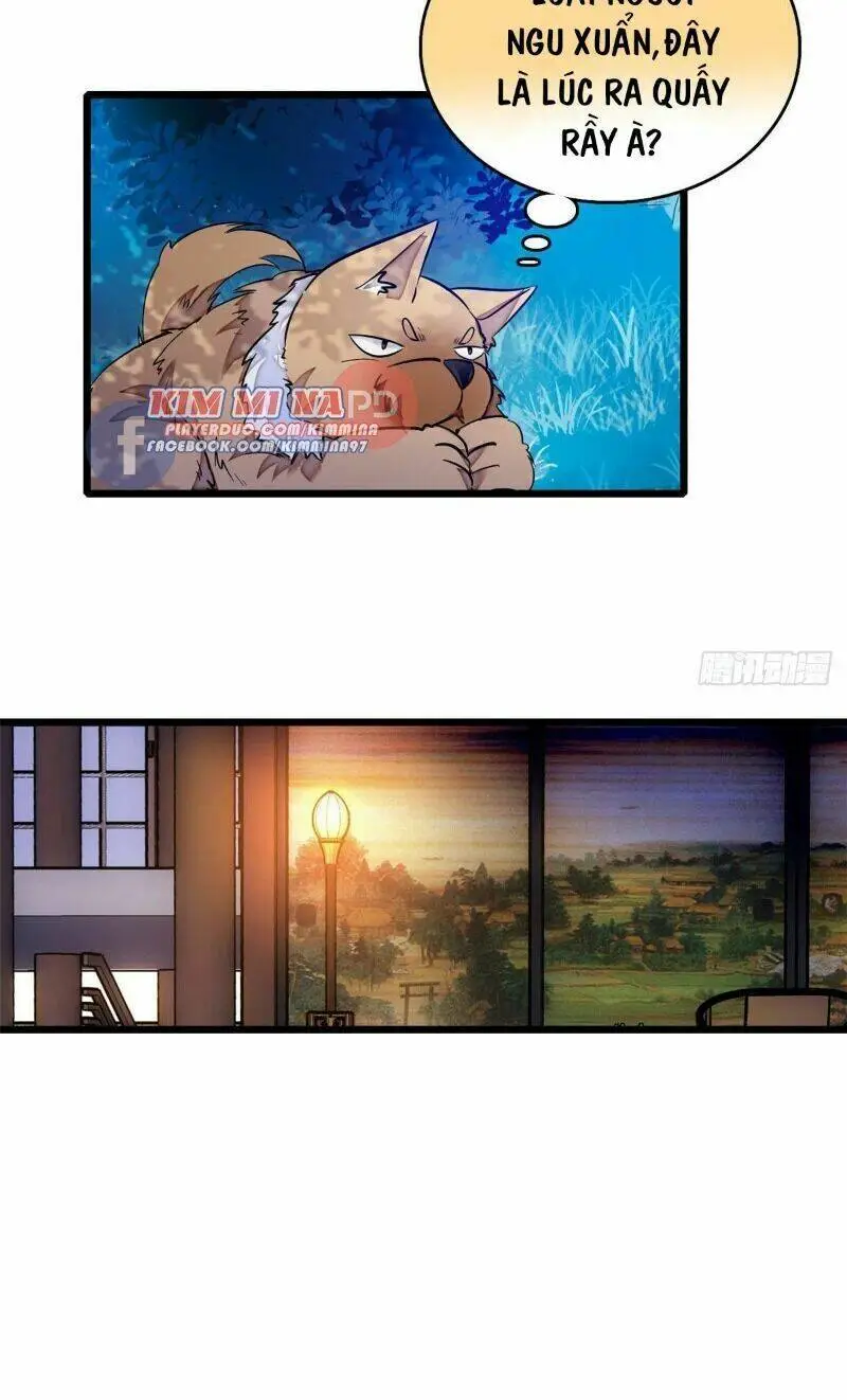 Chapter 55