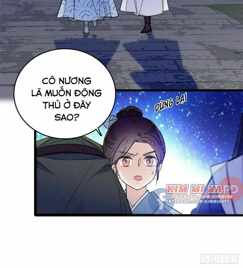 Chapter 55
