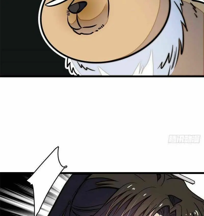 Chapter 51