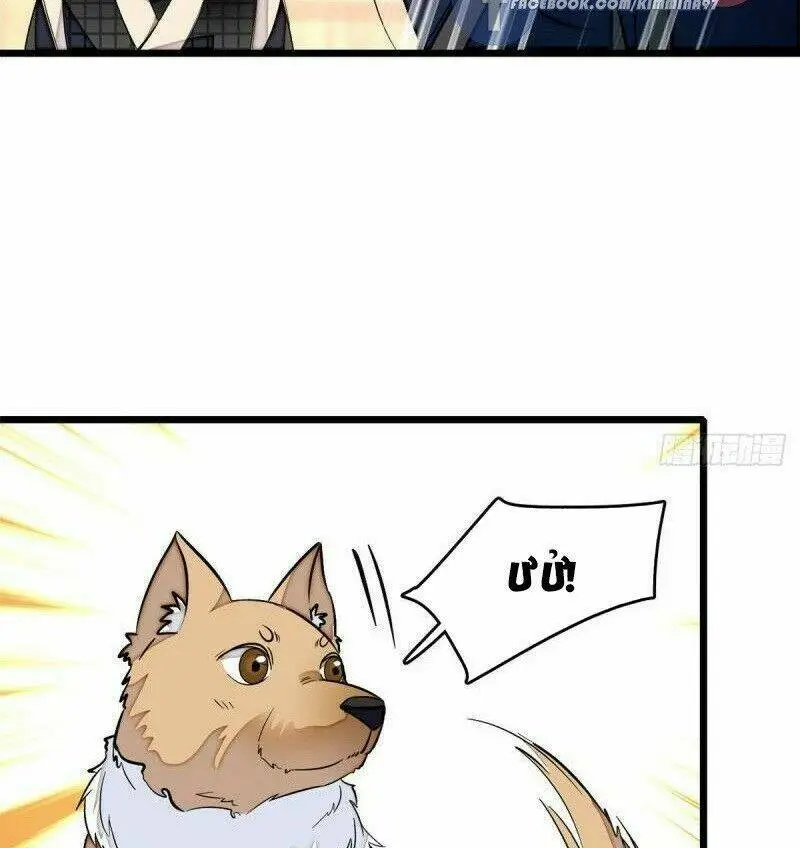 Chapter 51