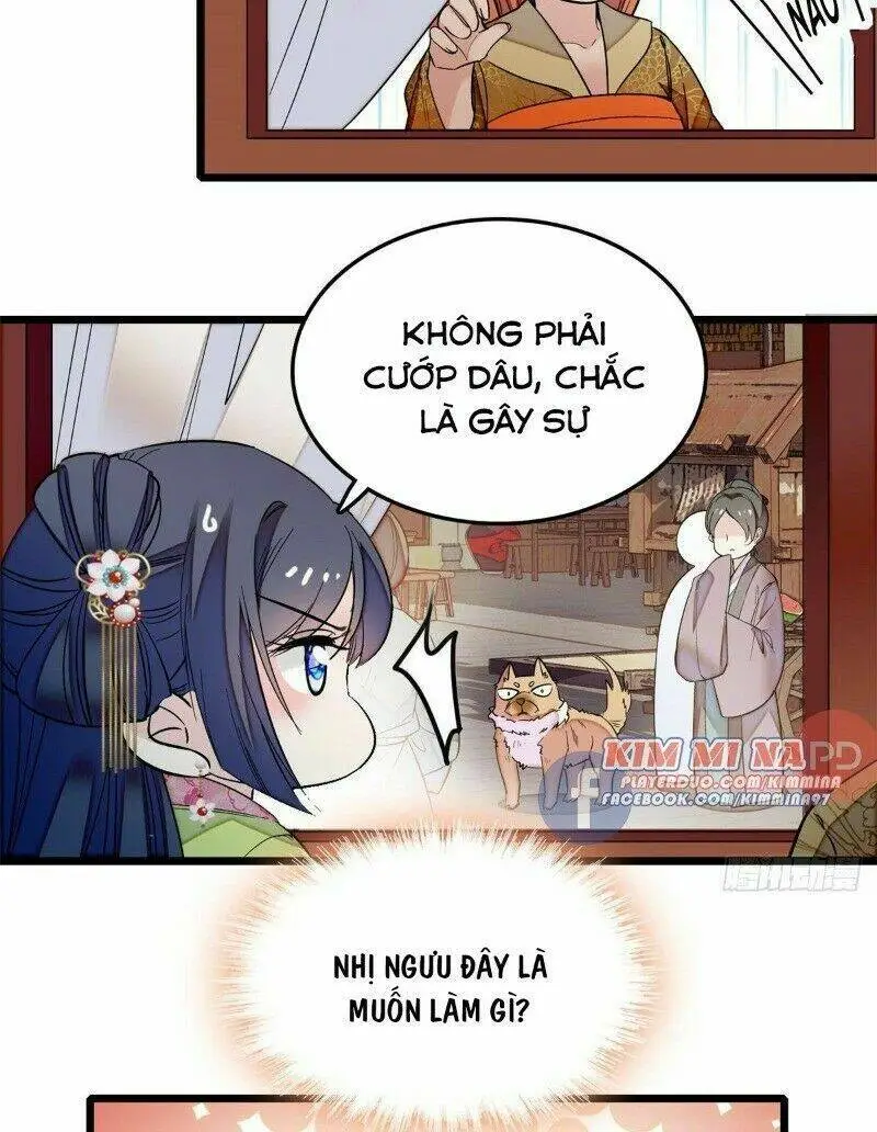 Chapter 49