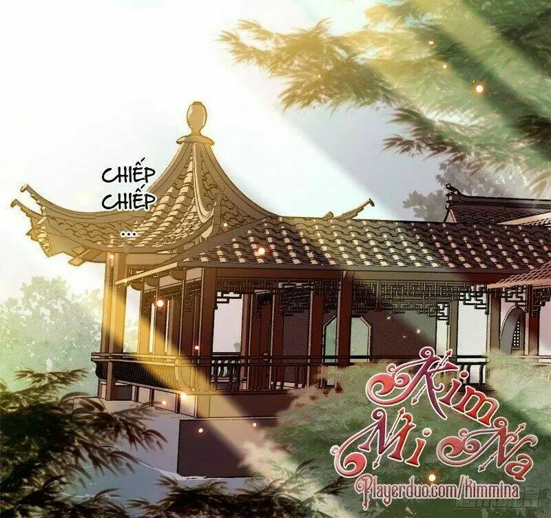 Chapter 41