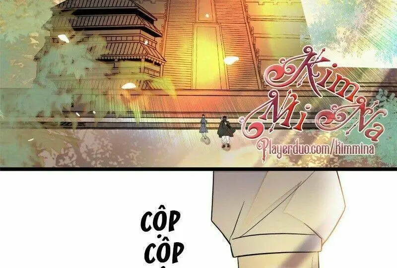 Chapter 41