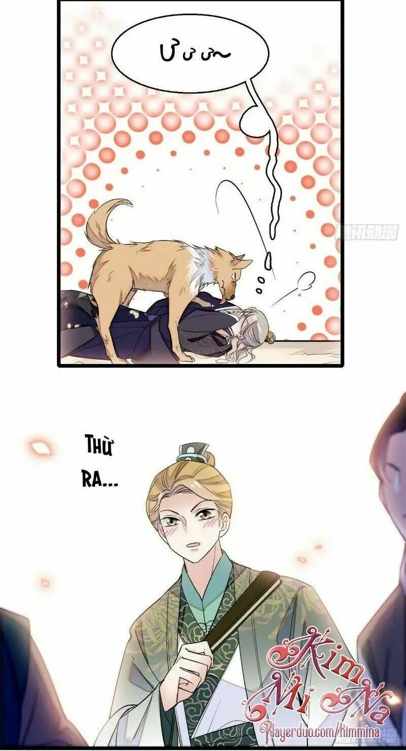 Chapter 36