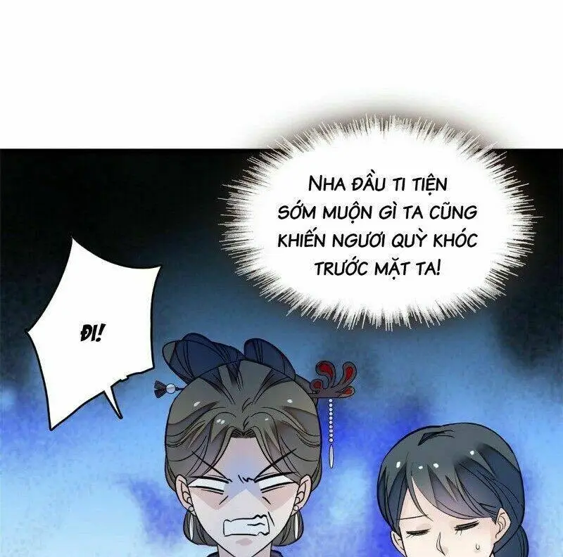 Chapter 22