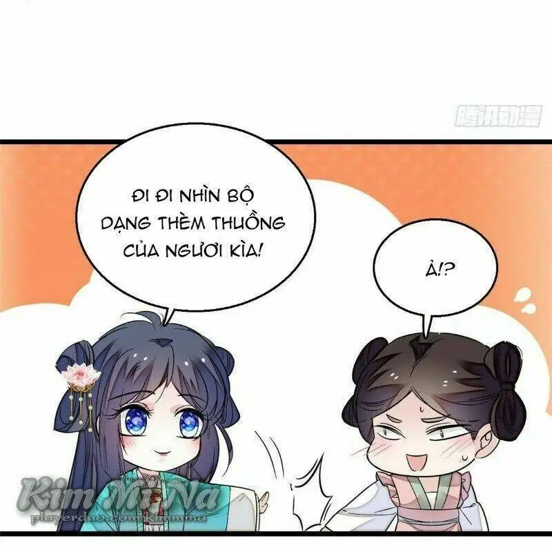 Chapter 22