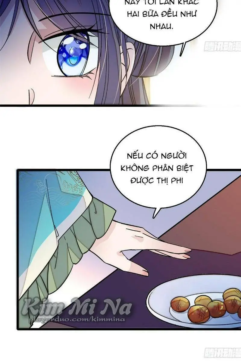 Chapter 19