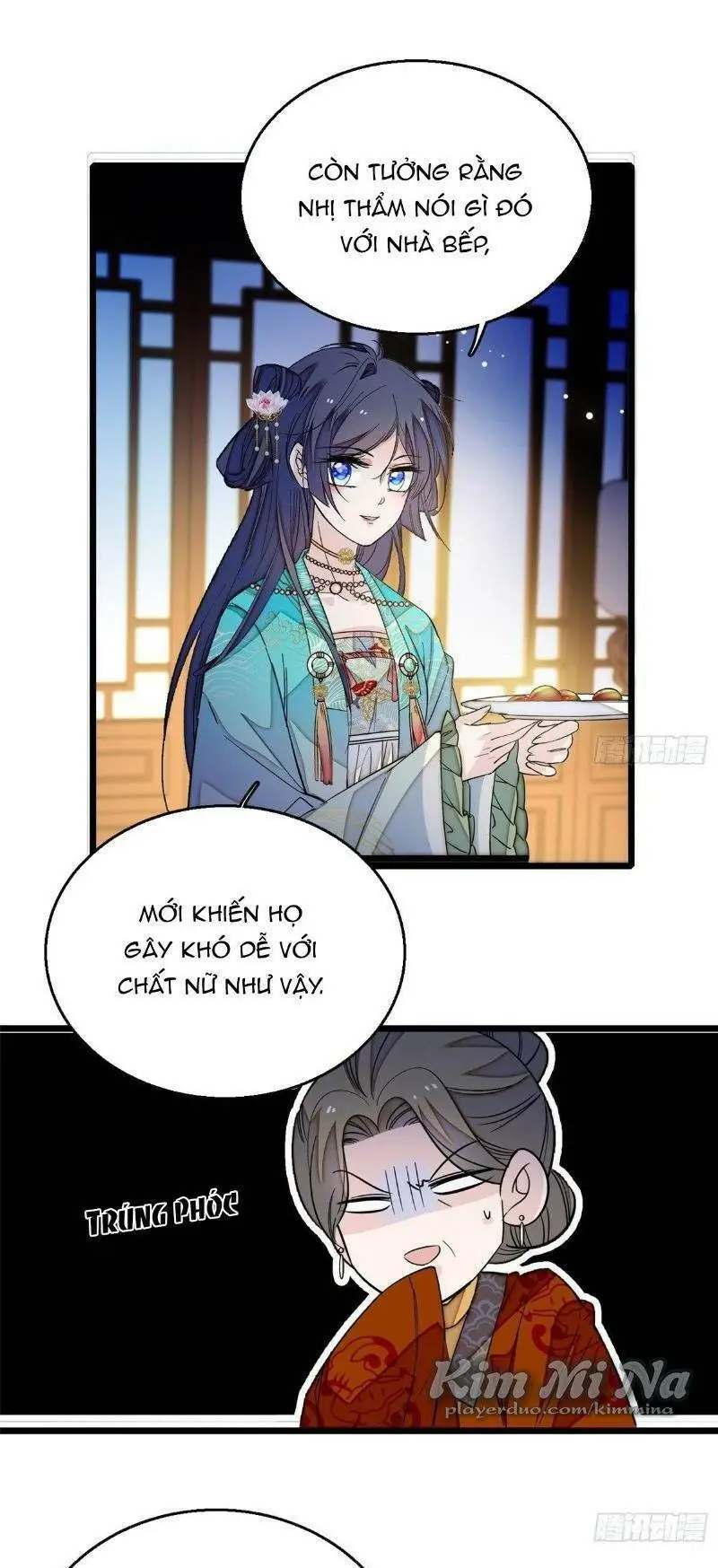 Chapter 19