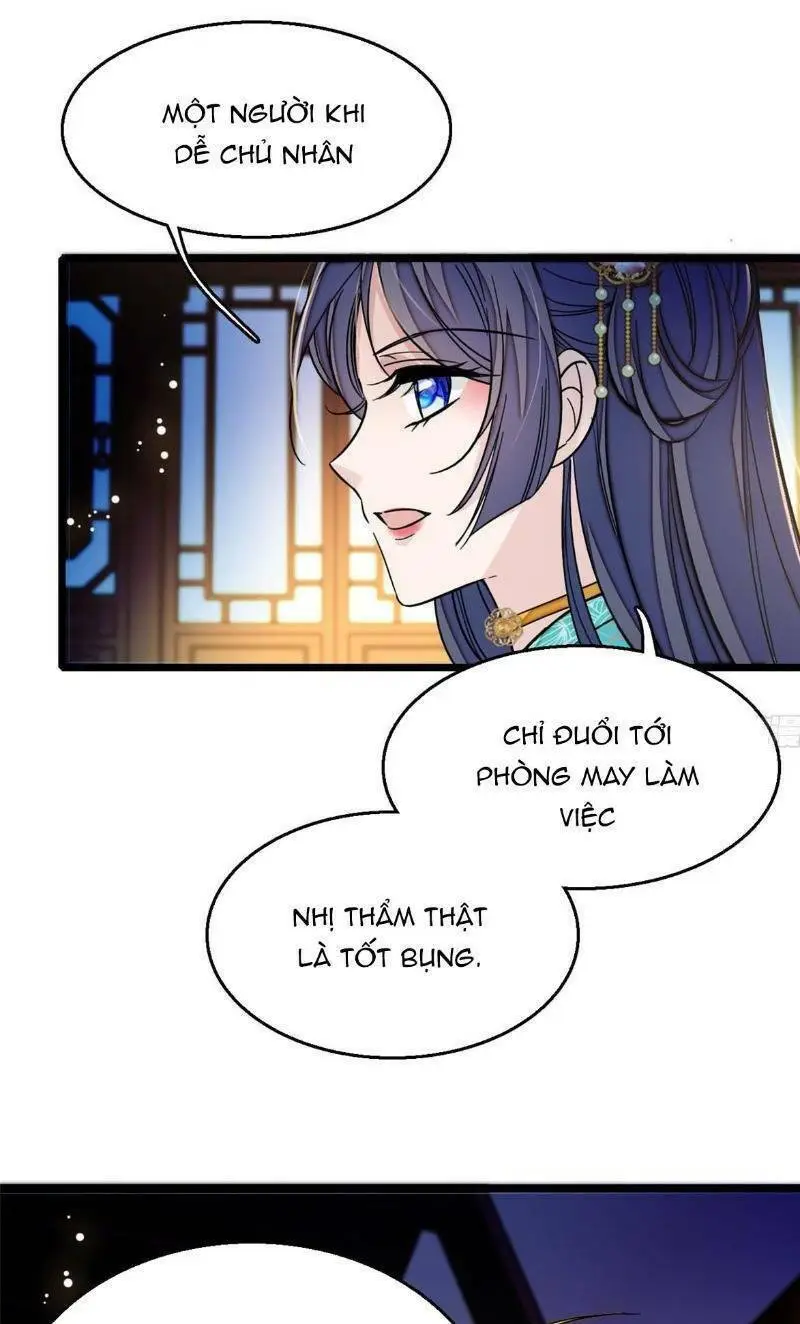 Chapter 19