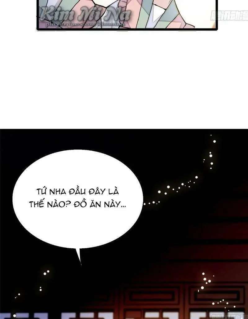 Chapter 19