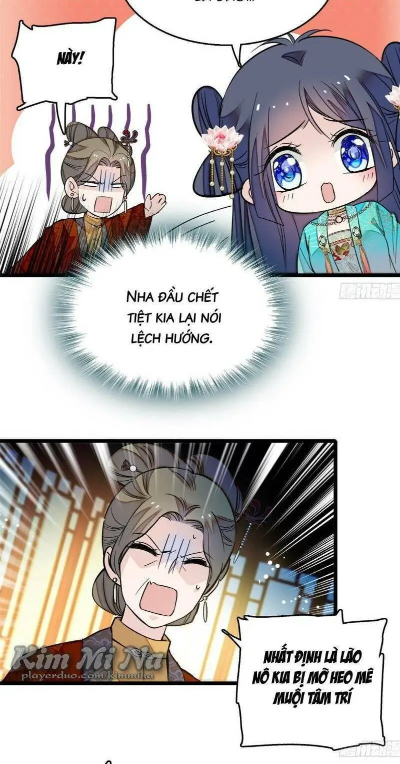 Chapter 19