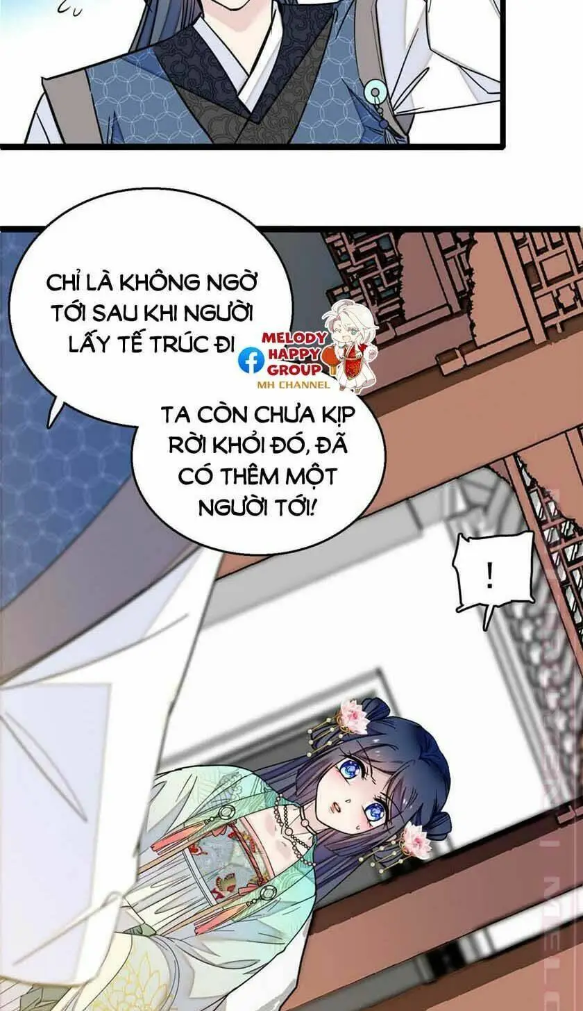 Chapter 12.5