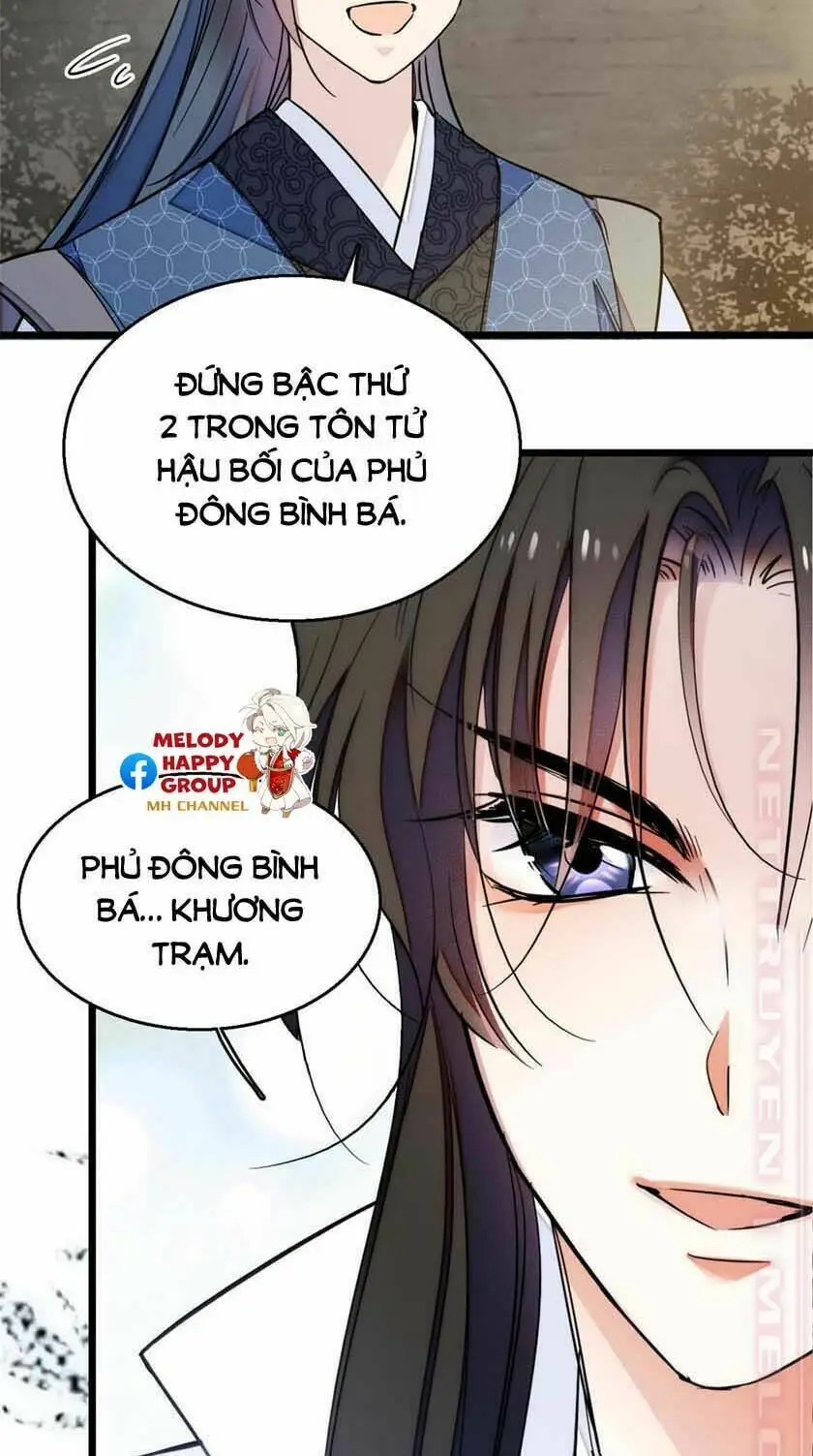 Chapter 12