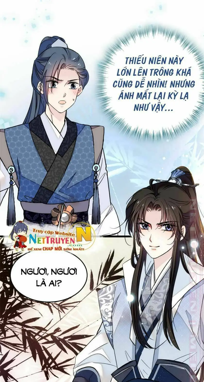 Chapter 12