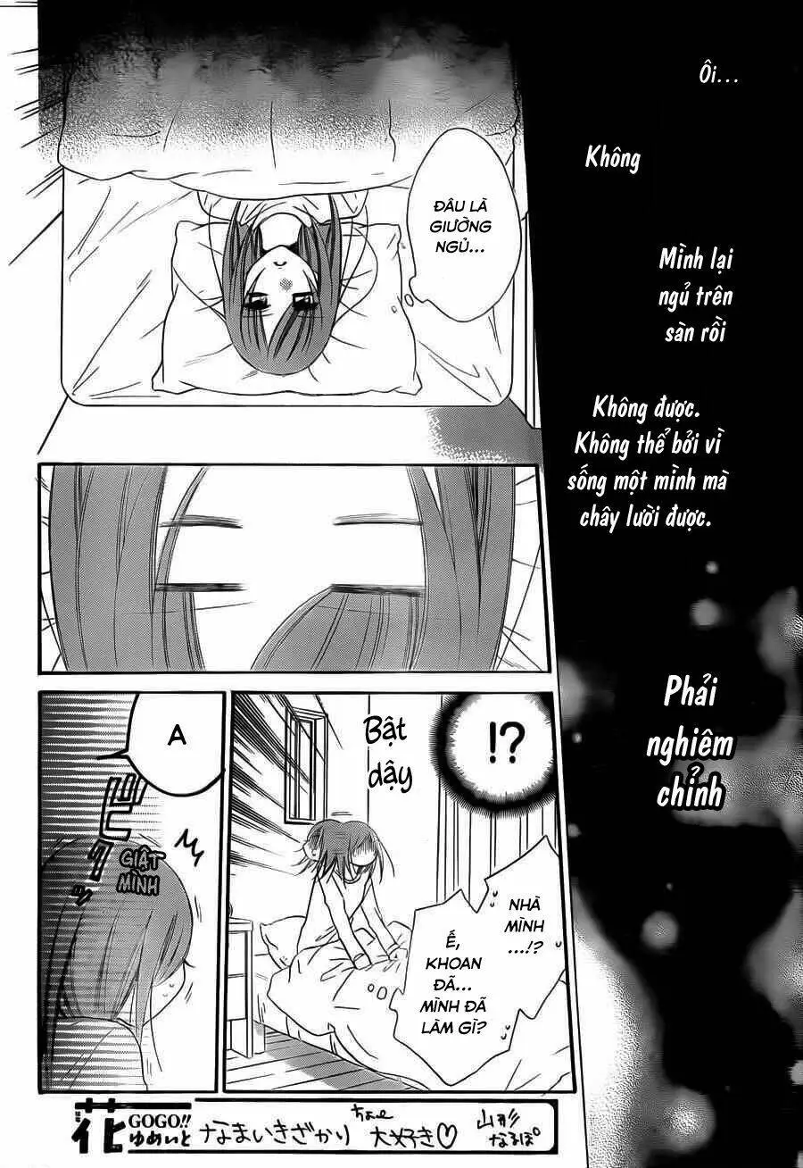 Chapter 55