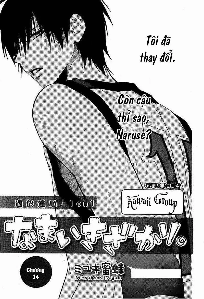 Chapter 14