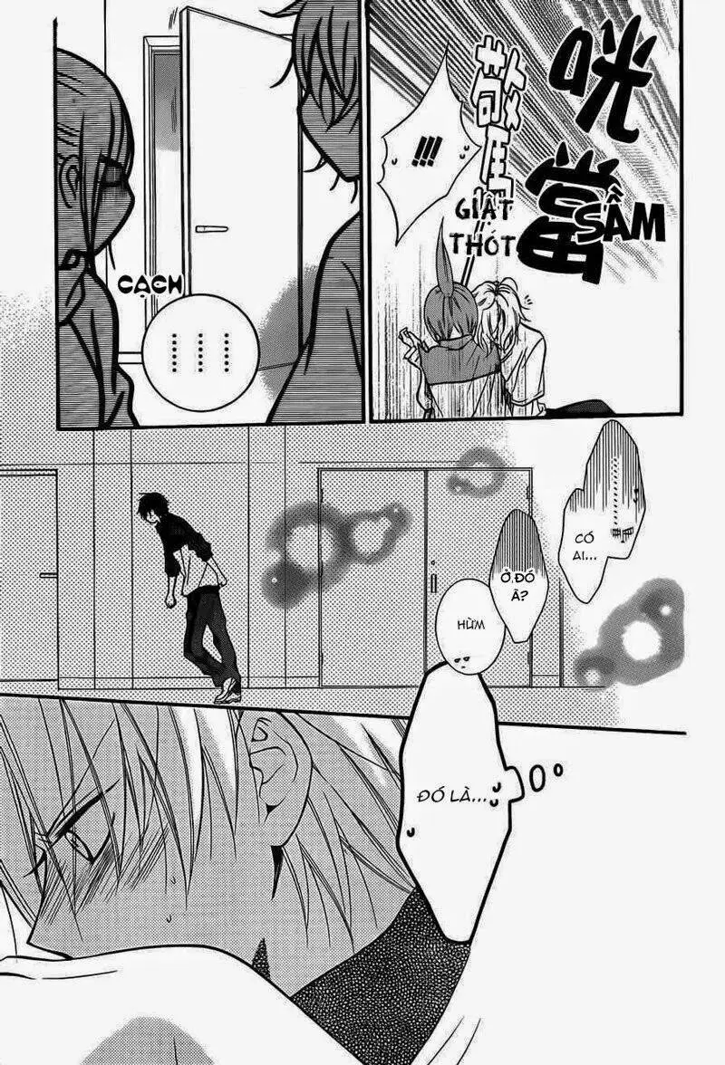 Chapter 12