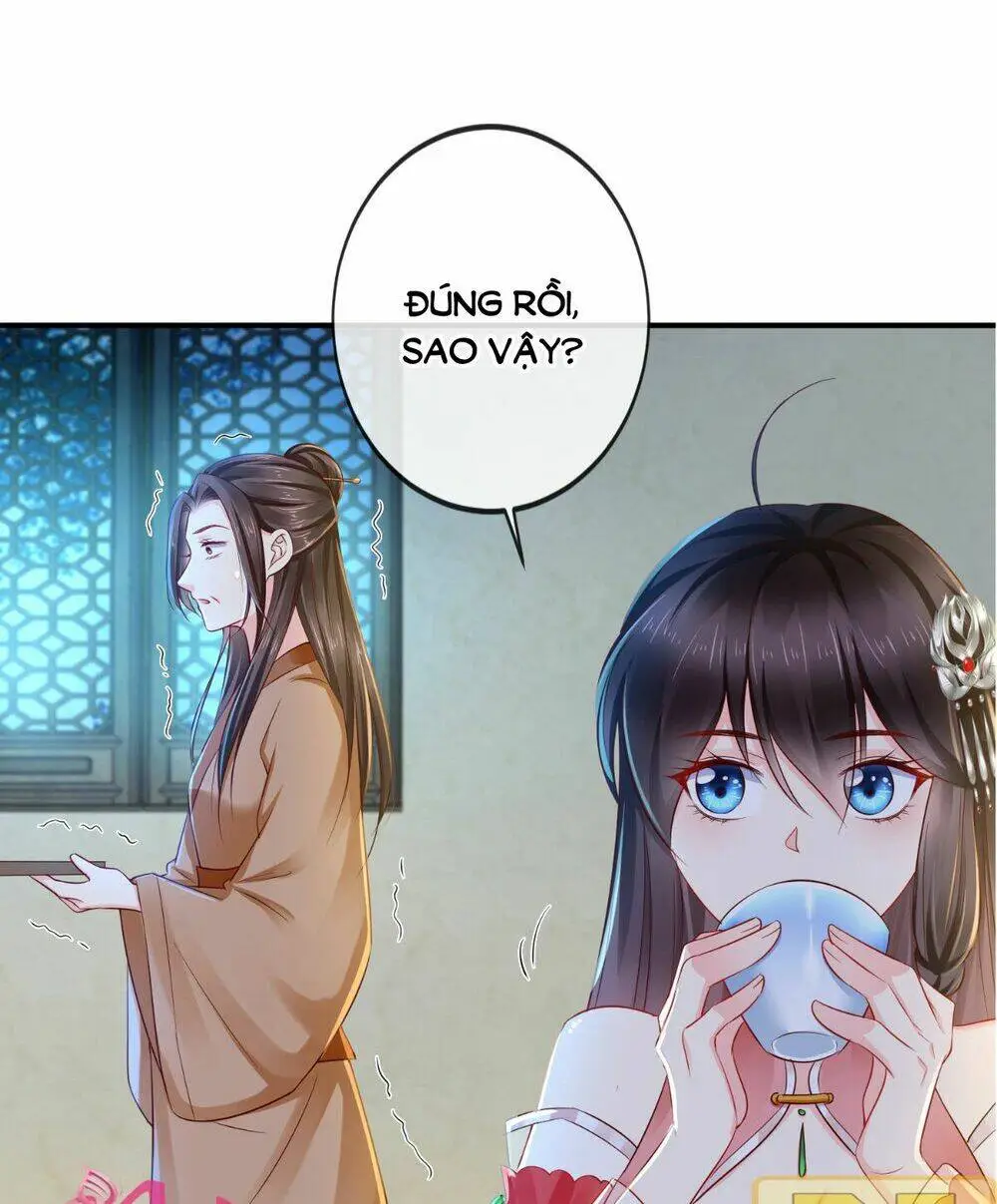 Chapter 48