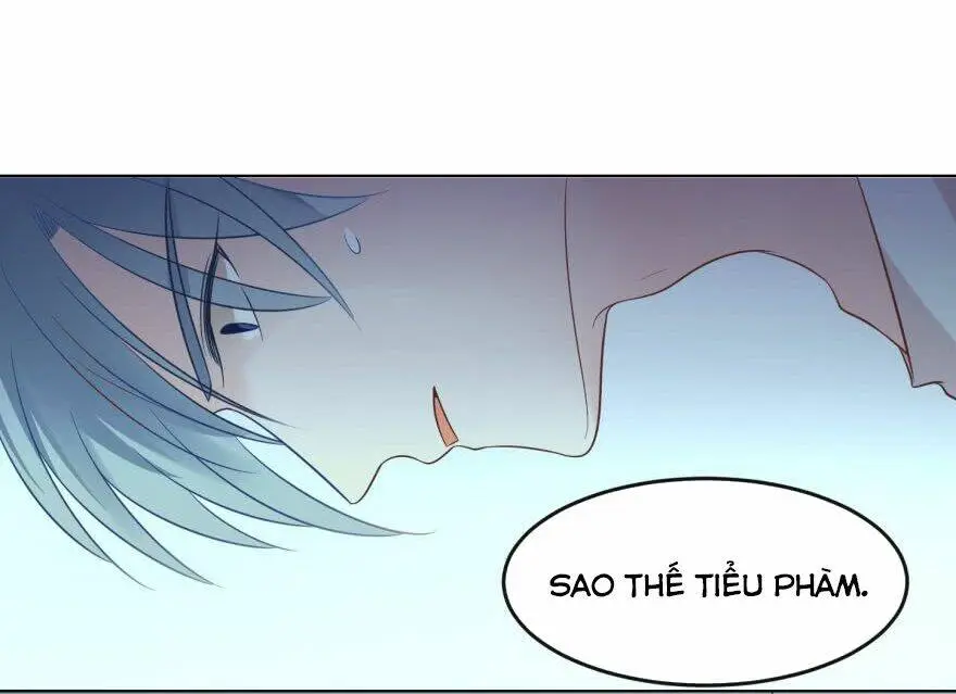 Chapter 162