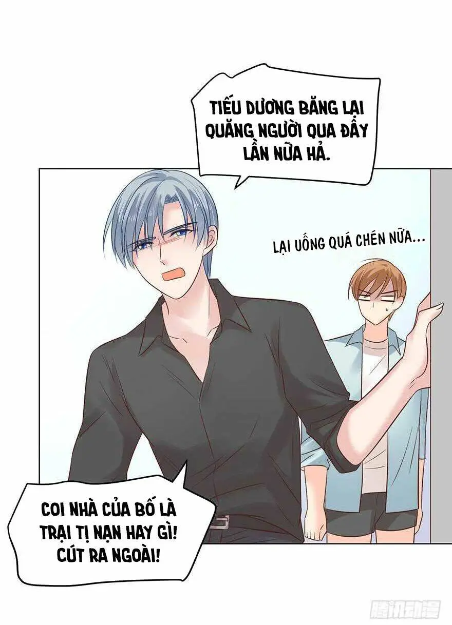 Chapter 161