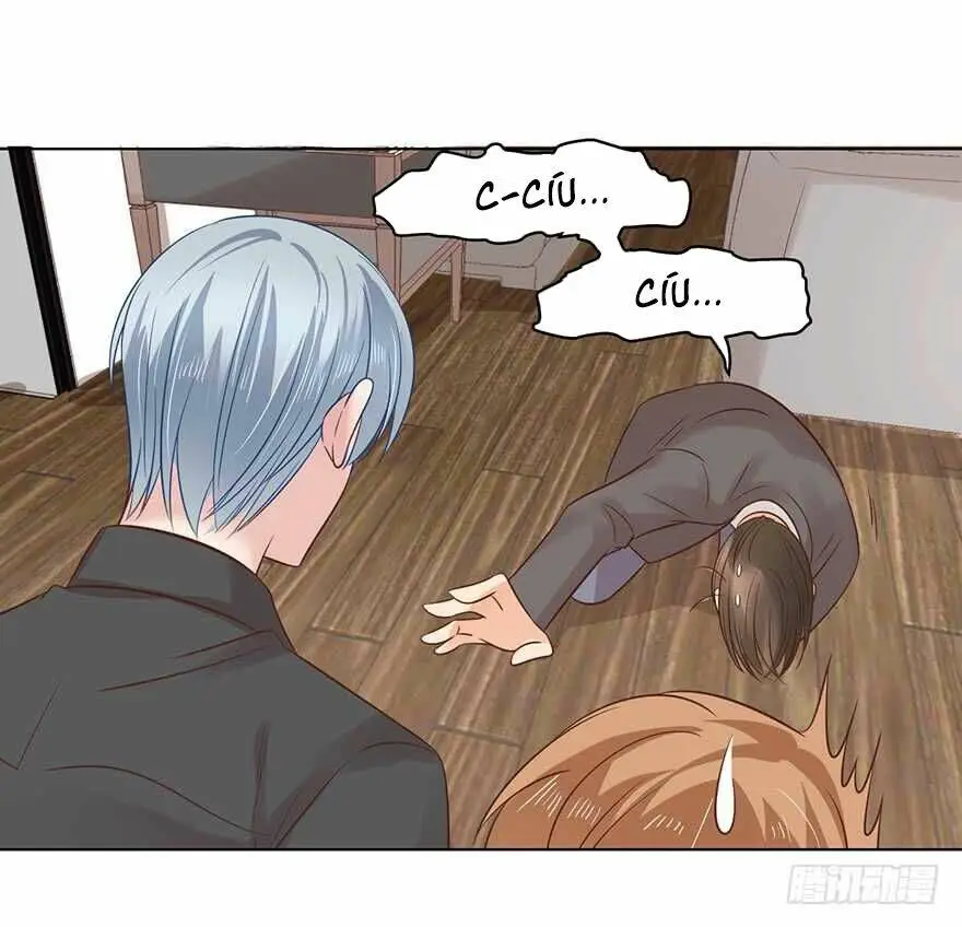 Chapter 161